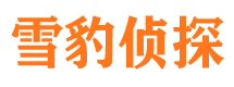 宁江市侦探调查公司